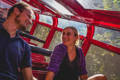 Blue Mountains Hop-on Hop-off Tour With Optional Scenic World Rides - Accommodation Sydney 5
