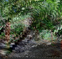 Adelaide to Melbourne 3-Day Trip through Grampians and Great Ocean Road - Accommodation Sydney