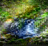Day Tour in Mt. Field Mt. Wellington Bonorong Wildlife Sanctuary and Richmond - Sydney 4u