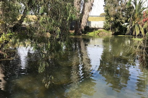 Perth East Foreshore And City Segway Tour - Accommodation Sydney 1