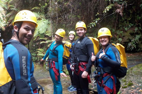 Full-Day Canyoning Experience At Stunning Empress Canyon - Sydney 4u 1
