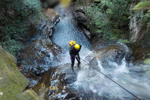 Full-Day Canyoning Experience At Stunning Empress Canyon - Sydney 4u 4