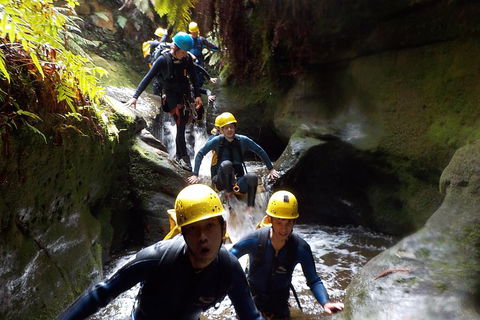 Full-Day Canyoning Experience At Stunning Empress Canyon - Sydney 4u 5