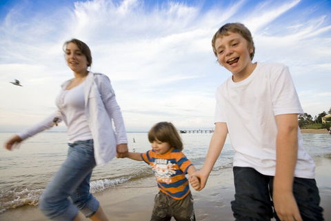 Phillip Island Penguin And Koala Highlights Day-Trip From Melbourne - Accommodation Sydney 0