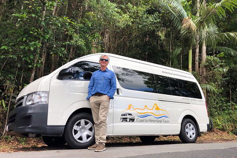 Sunshine Coast Hinterland Rainforest, Views And Montville Day Tour Inc. Lunch - Accommodation Sydney 1