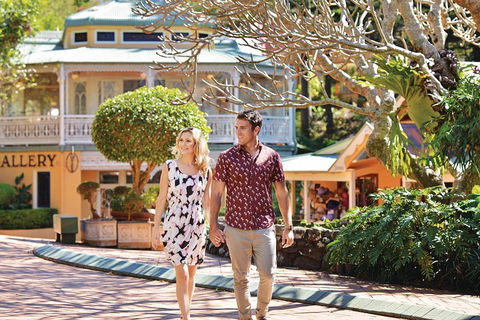 Sunshine Coast Hinterland Rainforest, Views And Montville Day Tour Inc. Lunch - Accommodation Sydney 4