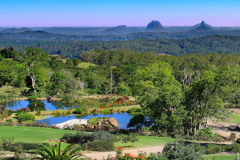 Sunshine Coast Hinterland Rainforest, Views And Montville Day Tour Inc. Lunch - Accommodation Sydney 5