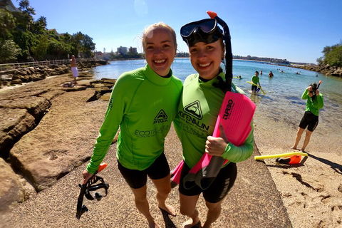 Manly Snorkel Trip And Nature Walk With Local Guide - Sydney 4u 1