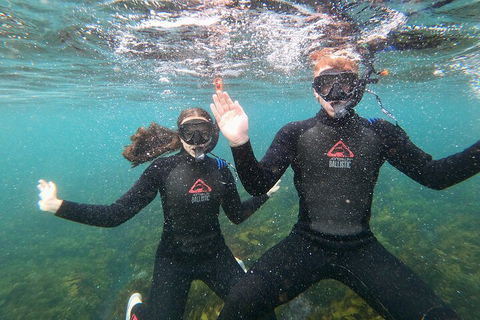 Manly Snorkel Trip And Nature Walk With Local Guide - Sydney 4u 3