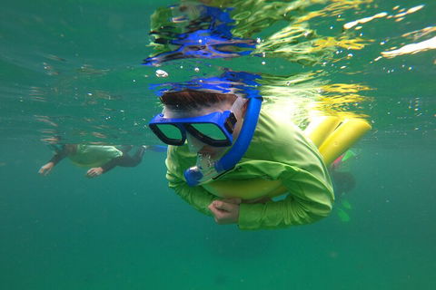 Manly Snorkel Trip And Nature Walk With Local Guide - Sydney 4u 5