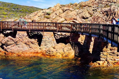 Margaret River (Private) Day Tour - Sydney 4u 3