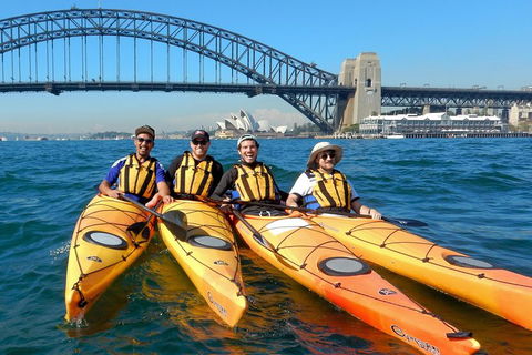 Kayak To Goat Island In Sydney Harbour With Local - Accommodation Sydney 5