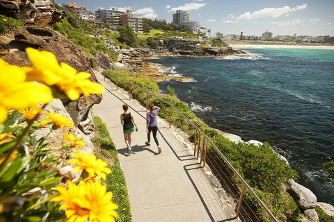 Sydney Uncovered Full-Day Tour - Accommodation Sydney 1