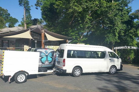 Airport Transfer To Or From Cairns Hotels For Up To 13 People - Accommodation Sydney 4