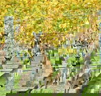 Margaret River Indulge and Discover Day Tour - Sydney 4u