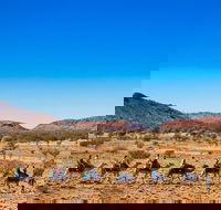 Alice Springs Camel Tour - Sydney 4u