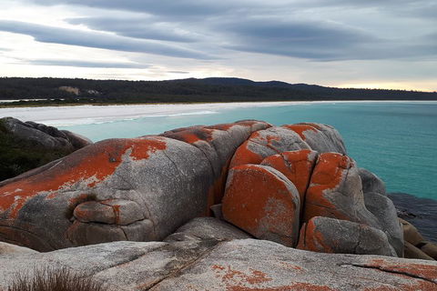 3-Day Bay Of Fires Photography Workshop From Hobart - Sydney 4u 0