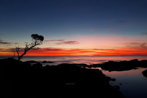 3-Day Bay Of Fires Photography Workshop From Hobart - Sydney 4u 1