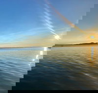 Aquascene Magnetic Island Discovery Tour - Accommodation Sydney