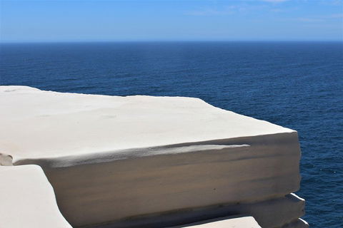 Royal National Park Tour - Accommodation Sydney 0
