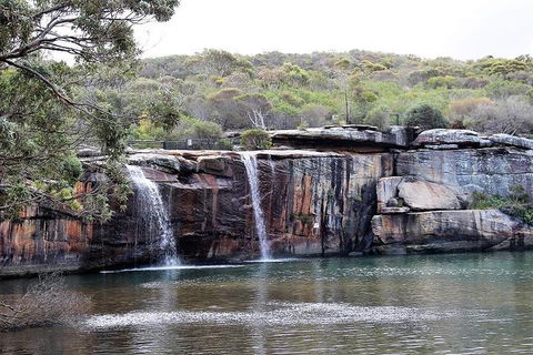 Royal National Park Tour - Accommodation Sydney 1