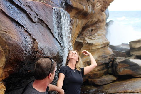 Royal National Park Tour - Accommodation Sydney 4