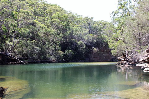Royal National Park Tour - Accommodation Sydney 5
