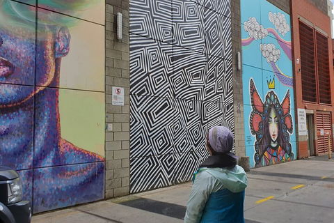 Jimmy C Street Art Walking Tour - Accommodation Sydney 2