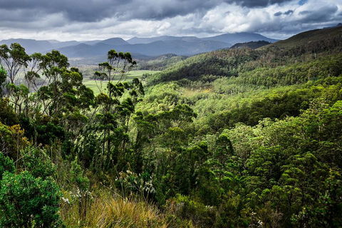 3-Day Tour To The Falls, Mountains, Lake & More Of West Coast Tasmania - Accommodation Sydney 0