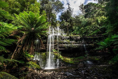 3-Day Tour To The Falls, Mountains, Lake & More Of West Coast Tasmania - Accommodation Sydney 4