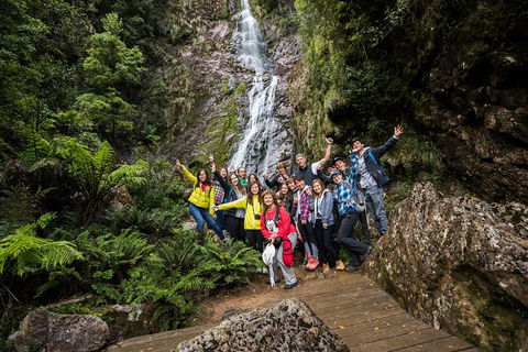 5-Day Lap Of Tasmania Tour From Hobart (flexible Ticket) - Sydney 4u 0