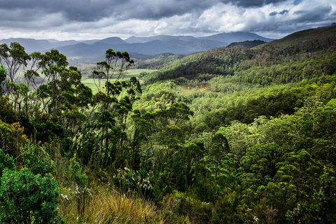 5-Day Lap Of Tasmania Tour From Hobart (flexible Ticket) - Sydney 4u 2