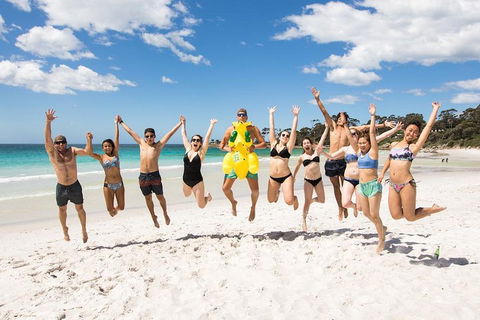 5-Day Lap Of Tasmania Tour From Hobart (flexible Ticket) - Sydney 4u 4