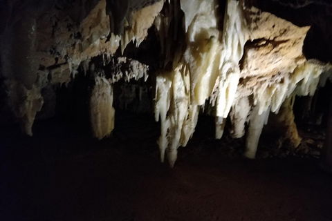 The Pinnacle Adventure Tour - Sydney 4u 0