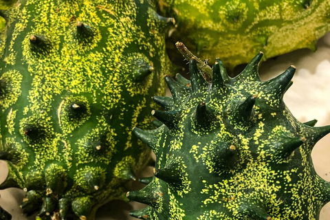 Rusty's Market Foodlovers Tour - Accommodation Sydney 3