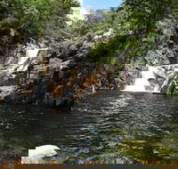 Behana Canyon Rainforest and Waterfall Experience - Sydney 4u