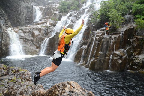 Behana Canyon Rainforest And Waterfall Experience - Accommodation Sydney 3