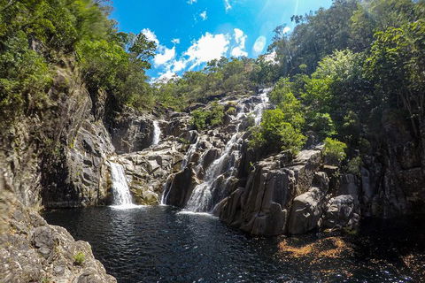 Behana Canyon Rainforest And Waterfall Experience - Accommodation Sydney 5