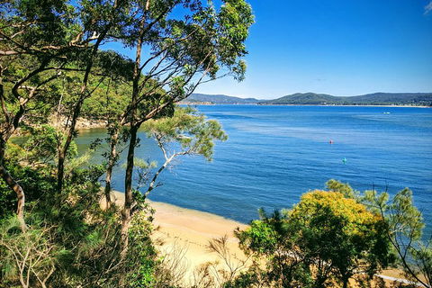 Central Coast Explorer With 'Personalised Sydney Tours' - Sydney 4u 0