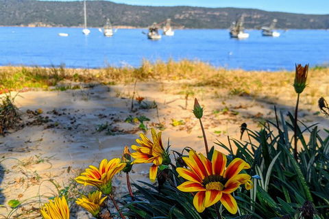 Central Coast Explorer With 'Personalised Sydney Tours' - Sydney 4u 2