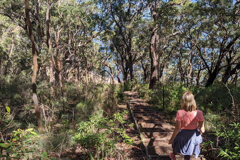 Central Coast Explorer With 'Personalised Sydney Tours' - Sydney 4u 4