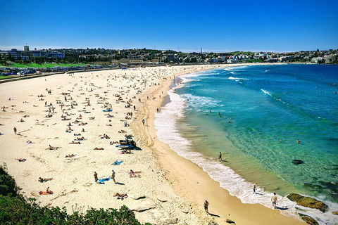 Sydney & Bondi Beach Plus Local Secrets With 'Personalised Sydney Tours' - Accommodation Sydney 5