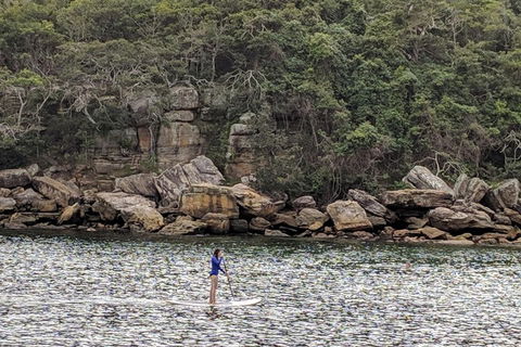 Manly & Sydney's Northern Beaches With 'Personalised Sydney Tours' - Sydney 4u 3