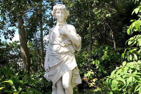 Discover Sydney - Botanic - Accommodation Sydney 2