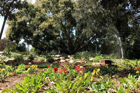 Discover Sydney - Botanic - Accommodation Sydney 3