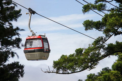 Sydney Taronga Zoo General Entry Ticket And Wild Australia Experience - Accommodation Sydney 2