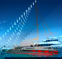 Passions of Paradise Great Barrier Reef Snorkel and Dive Cruise from Cairns by Luxury Catamaran - Sydney 4u