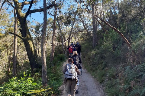 Mount Lofty Hike And Cleland Wildlife Park Day Trip From Adelaide - Accommodation Sydney 3