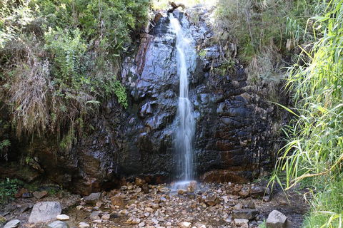 Mount Lofty Hike And Cleland Wildlife Park Day Trip From Adelaide - Accommodation Sydney 4