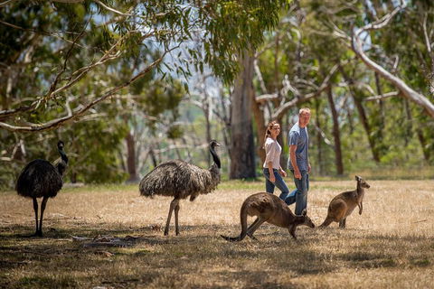 Mount Lofty Hike And Cleland Wildlife Park Day Trip From Adelaide - Accommodation Sydney 5